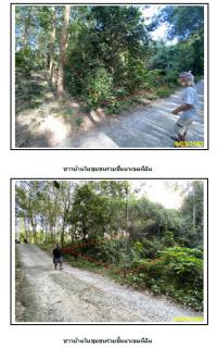 https://ww1.ohoproperty.com/1401/ธนาคารกรุงไทย/ขายที่ดินเปล่า/หน้าเมือง/เกาะสมุย/สุราษฎร์ธานี/