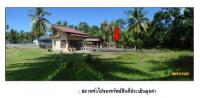 https://ww1.ohoproperty.com/1394/ธนาคารกรุงไทย/ขายที่ดินพร้อมสิ่งปลูกสร้าง/ตลิ่งงาม/เกาะสมุย/สุราษฎร์ธานี/