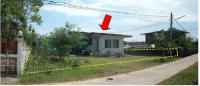 https://ww1.ohoproperty.com/2714/ธนาคารกรุงไทย/ขายบ้านเดี่ยว/รอบเมือง/เมืองร้อยเอ็ด/ร้อยเอ็ด/