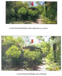 https://ww1.ohoproperty.com/65420/ธนาคารกรุงไทย/ขายที่ดินพร้อมสิ่งปลูกสร้าง/ท่าทอง/กาญจนดิษฐ์/สุราษฎร์ธานี/