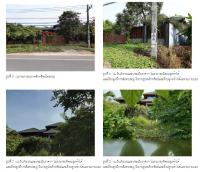 https://ww1.ohoproperty.com/150914/ธนาคารกรุงไทย/ขายที่ดินพร้อมสิ่งปลูกสร้าง/กะแดะ/กาญจนดิษฐ์/สุราษฎร์ธานี/