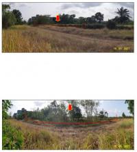 https://ww1.ohoproperty.com/141238/ธนาคารกรุงไทย/ขายที่ดินเปล่า/บ้านนา/เมืองชุมพร/ชุมพร/