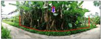 https://ww1.ohoproperty.com/210043/ธนาคารออมสิน/ขายที่ดิน/วังตะกอ/หลังสวน/ชุมพร/