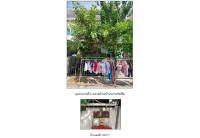 https://ww1.ohoproperty.com/194425/ธนาคารออมสิน/ขายที่ดินพร้อมสิ่งปลูกสร้าง/ลำโพ/บางบัวทอง/นนทบุรี/