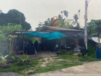 https://ww1.ohoproperty.com/219939/ธนาคารอาคารสงเคราะห์/ขายบ้านเดี่ยว/วังไผ่/เมืองชุมพร/ชุมพร/