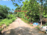 https://ww1.ohoproperty.com/157153/ธนาคารกสิกรไทย/ขายที่ดินว่างเปล่า/ลิปะน้อย/เกาะสมุย/สุราษฎร์ธานี/