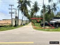 https://ww1.ohoproperty.com/205122/ธนาคารกสิกรไทย/ขายที่ดินว่างเปล่า/บางมะพร้าว/หลังสวน/ชุมพร/
