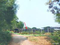 https://ww1.ohoproperty.com/205049/ธนาคารกสิกรไทย/ขายที่ดินว่างเปล่า/เอกราช/ป่าโมก/อ่างทอง/