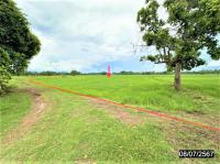 https://ww1.ohoproperty.com/212491/ธนาคารกสิกรไทย/ขายที่ดินว่างเปล่า/หัวขวาง/โกสุมพิสัย/มหาสารคาม/