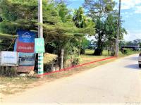 https://ww1.ohoproperty.com/212855/ธนาคารกสิกรไทย/ขายที่ดินว่างเปล่า/เวียง/ฝาง/เชียงใหม่/