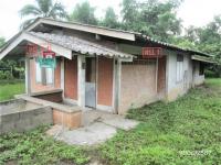 https://ww1.ohoproperty.com/156781/ธนาคารกสิกรไทย/ขายบ้านเดี่ยว/แม่สูน/ฝาง/เชียงใหม่/
