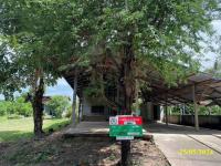 https://ww1.ohoproperty.com/155686/ธนาคารกสิกรไทย/ขายบ้านเดี่ยว/เมืองเดช/เดชอุดม/อุบลราชธานี/