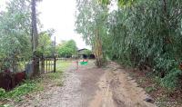 https://ww1.ohoproperty.com/167977/ธนาคารกสิกรไทย/ขายบ้านเดี่ยว/โพธิ์ศรีสว่าง/โพนทอง/ร้อยเอ็ด/