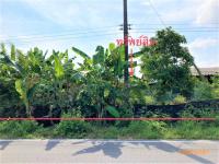 https://ww1.ohoproperty.com/178137/ธนาคารกสิกรไทย/ขายบ้านเดี่ยว/ท่าทอง/กาญจนดิษฐ์/สุราษฎร์ธานี/