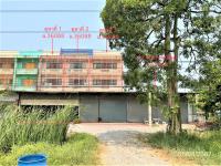 https://ww1.ohoproperty.com/191030/ธนาคารกสิกรไทย/ขายอาคารพาณิชย์/บ้านสิงห์/โพธาราม/ราชบุรี/