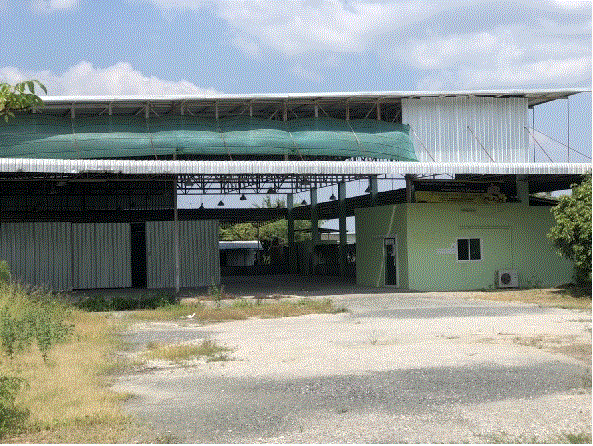 https://ww1.ohoproperty.com/185516/ธนาคารกรุงเทพ/ขายโรงงาน/หนองแฝก/สารภี/เชียงใหม่/