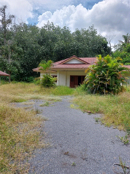 https://ww1.ohoproperty.com/209537/ธนาคารกรุงเทพ/ขายบ้าน////